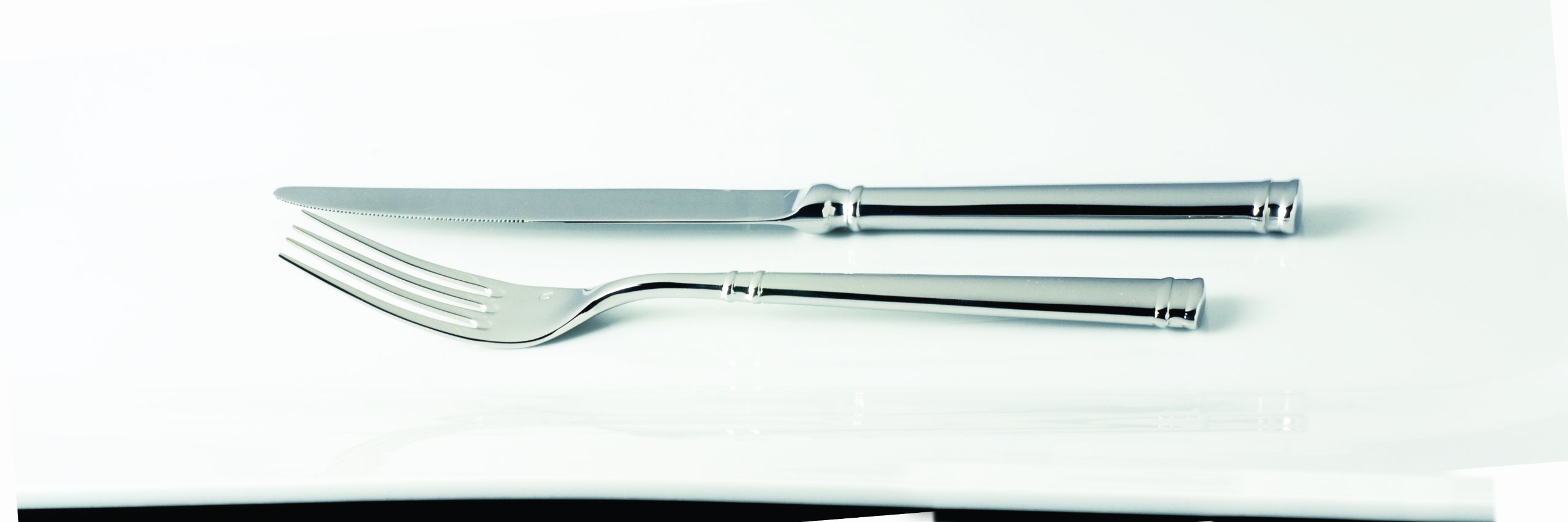 Premium Fortessa Bistro 18/10 Stainless Steel Flatware - 12-Piece Solid Handle Table Knife Set, Silver | Elegant Dining, Restaurant Quality Cutlery for Home, Wedding & Formal Occasions