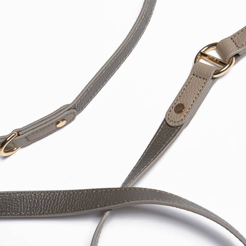 Hands-Free Dog Leash for Walking & Running - Adjustable Waist Belt with Reflective Stitching - Perfect for Jogging, Hiking & Outdoor Activities