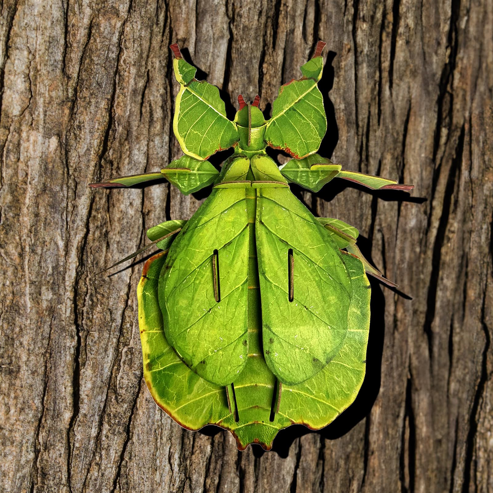 STEM Educational 3D Paper Puzzles for Kids Ages 7+ | Eco-Friendly DIY Construction Toys | Giant Asian Mantis & Phyllium Insect Models | Perfect for Birthday, Christmas Gifts & Homeschool Science Projects | Fun Classroom & Home Learning Activity
