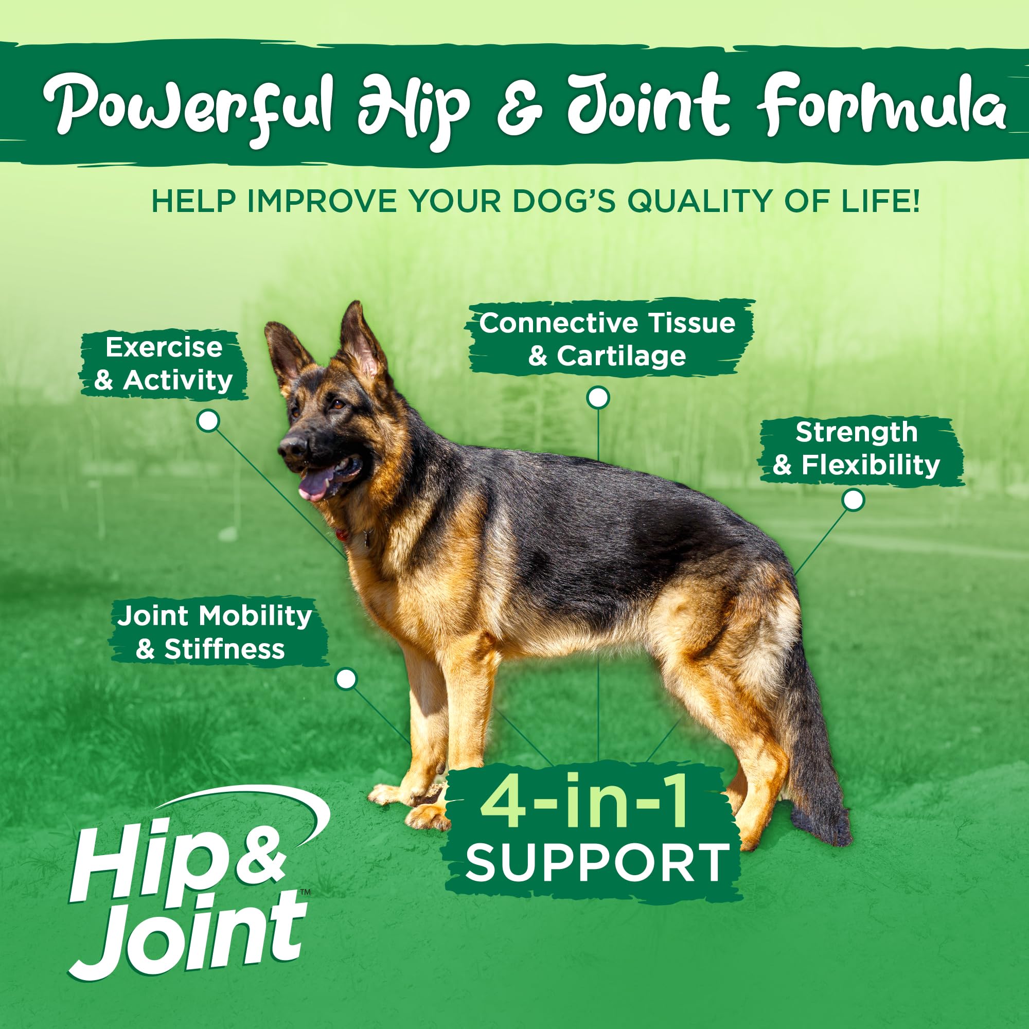 Vital Planet Hip & Joint Soft Chews for Dogs - Glucosamine, MSM & Collagen Supplement with Green-Lipped Mussel - Bacon Flavored Dog Treats (30 Count) - Supports Mobility & Joint Health for Active & Senior Dogs