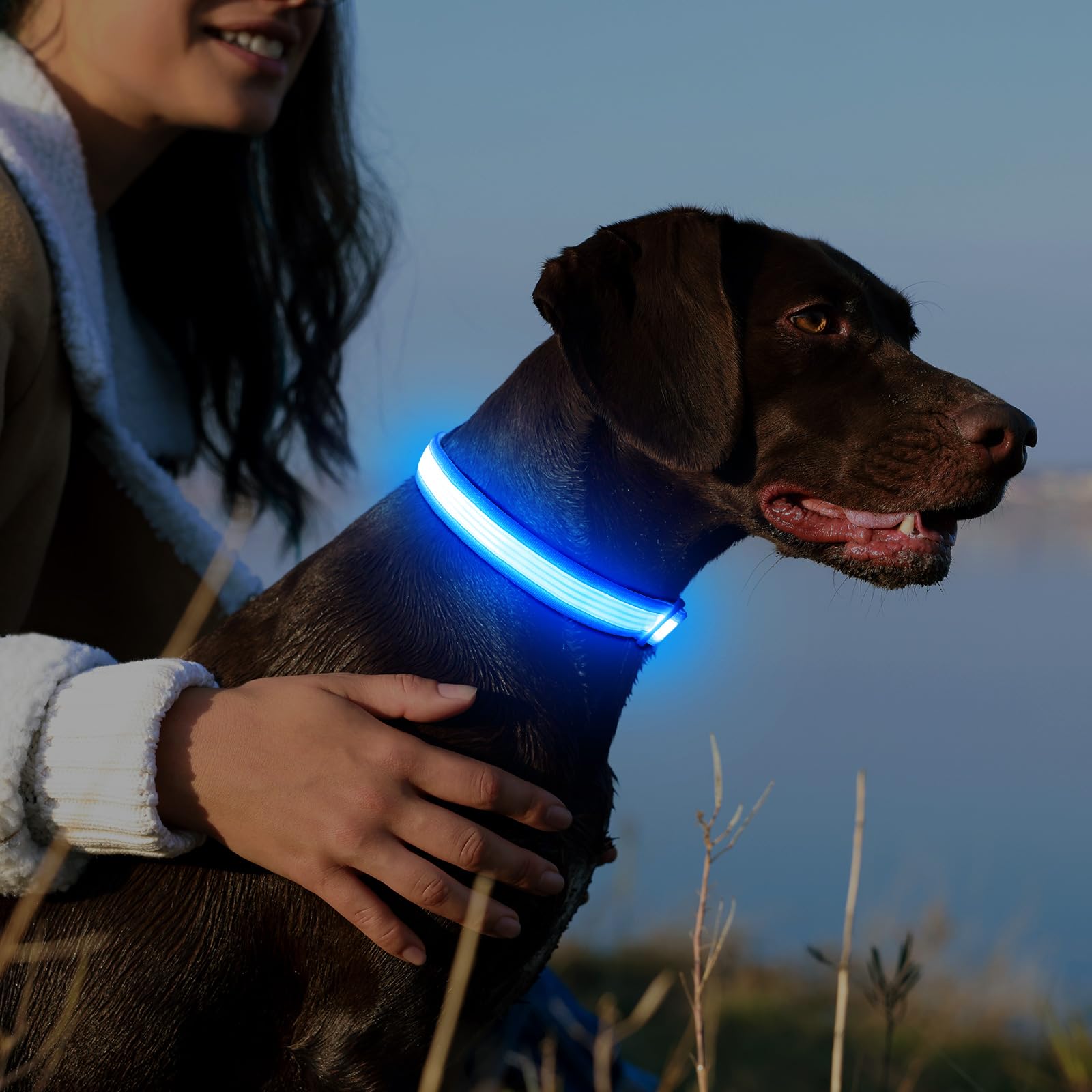 YFbrite USB Rechargeable LED Dog Collar - Super Bright Adjustable Glowing Collar for Night Walking, Safety & Visibility - Blue Large Size | Perfect for Evening Walks, Jogging, Camping & Outdoor Adventures