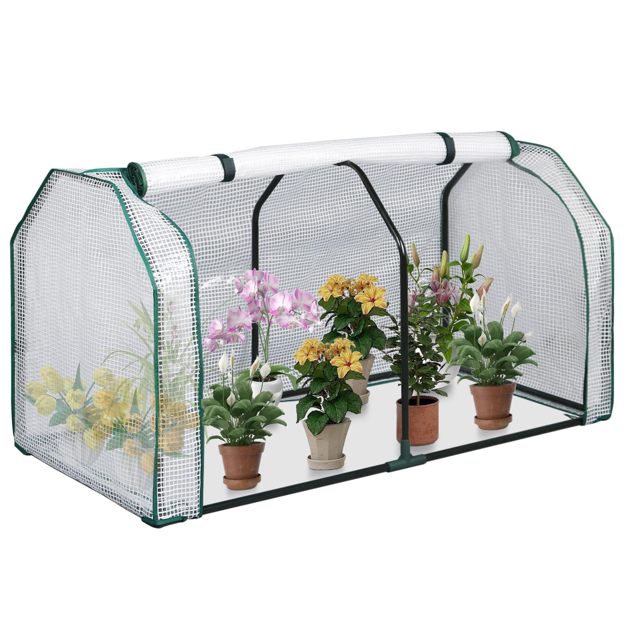 LYNSLIM 2-Pack Mini Greenhouse for Plants - 48