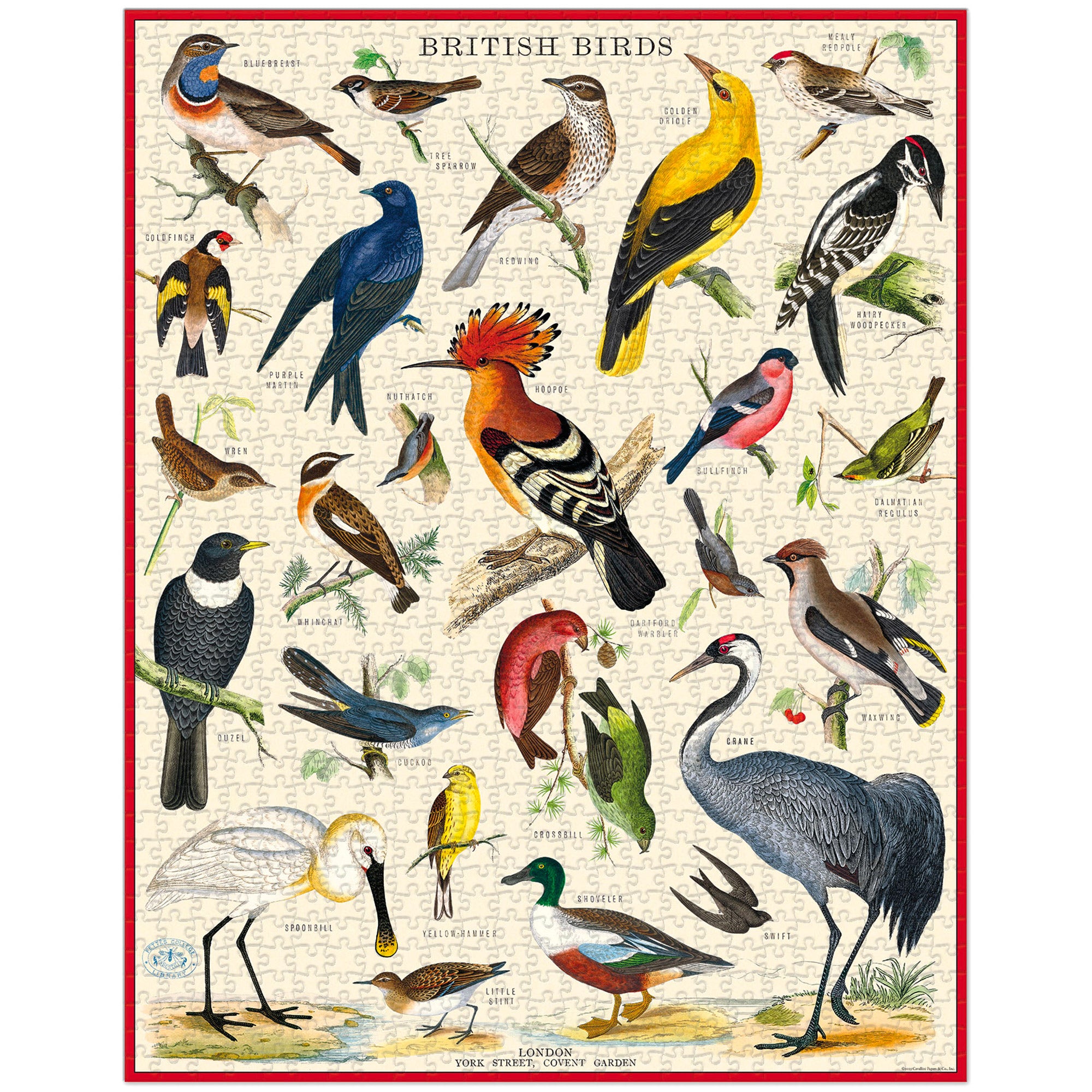 Vintage British Birds 1000 Piece Jigsaw Puzzle - Perfect for Adults, Family Game Night & Home Decor