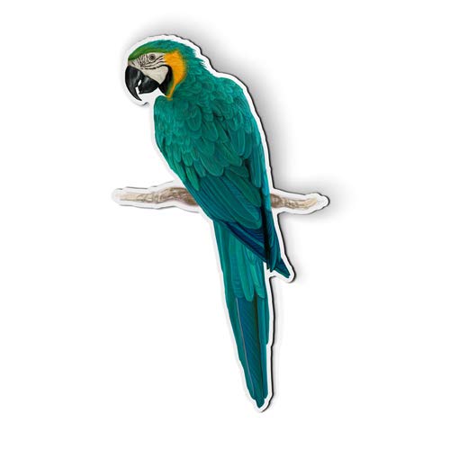Colorful Macaw Tropical Bird Magnet - 3