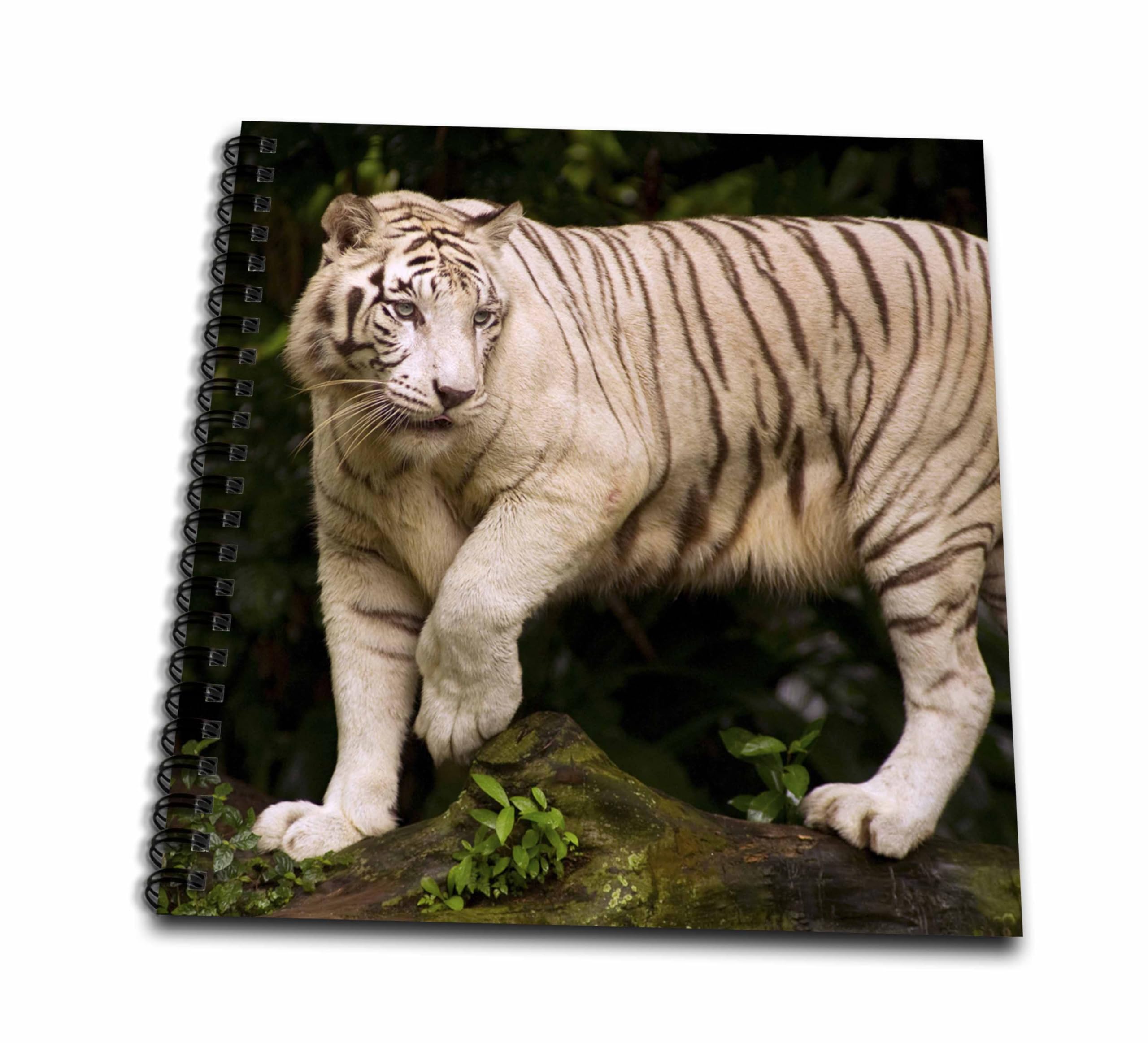 3D Rose White Tiger on The Prowl Sketchbook - Premium Drawing Book for Artists & Students - Perfect for Sketching, Doodling & Art Projects