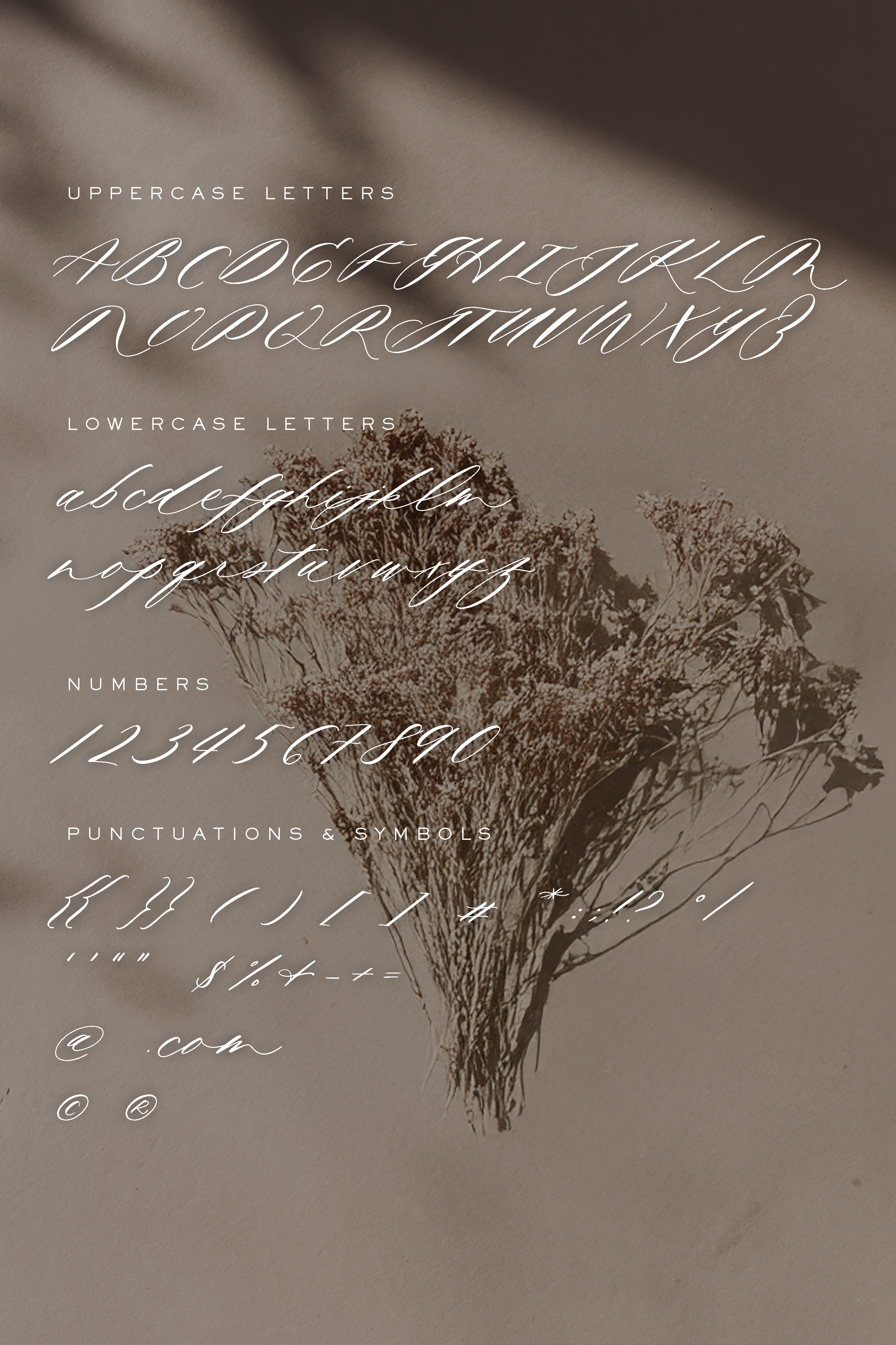 Mycella Elegant Calligraphy Font - Perfect for Wedding Invitations, Logos & Branding Designs