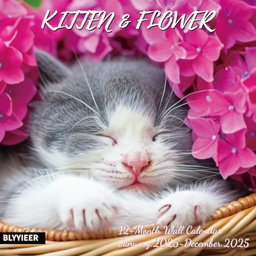 kitten & flower