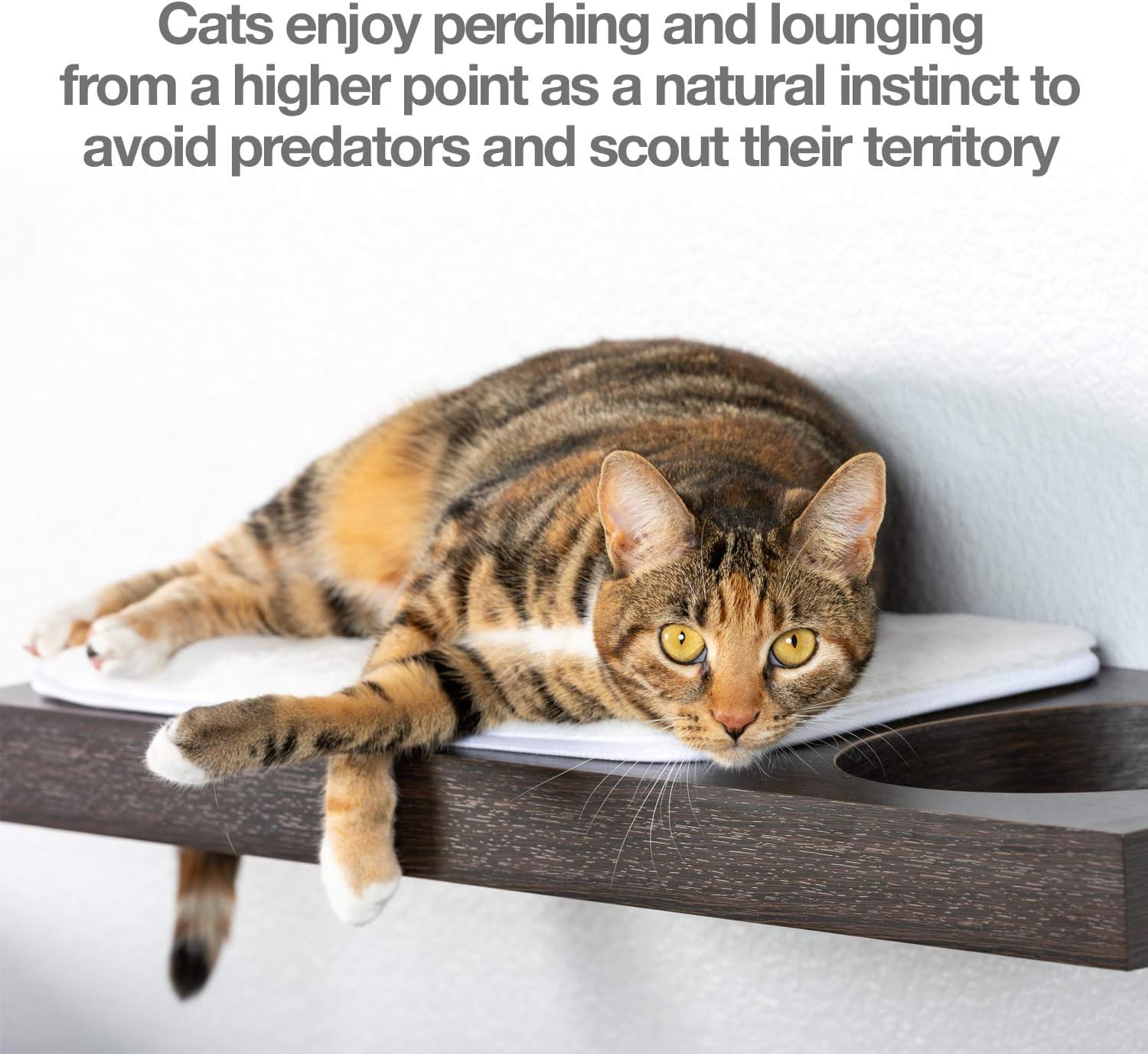 PetFusion Cat Activity Wall Shelves - 3-Piece Set or Individual Shelf with Sisal Scratching Surface & Plush Lounging Area, Neutral Design for Home Decor - Easy & Secure Wall Mount for Indoor Cat Climbing & Play