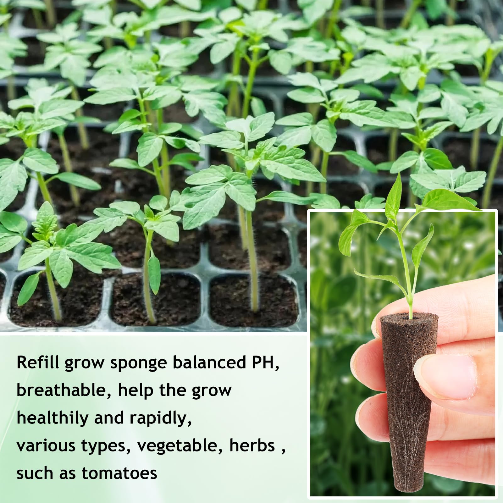 50Pcs Hydroponic Grow Sponges - Seed Starter Pods for Plant Root Growth, Replacement Sponges Compatible with Hydroponic Systems | Perfect for Indoor Gardening, Herb Kits & Hydroponic Seed Starting