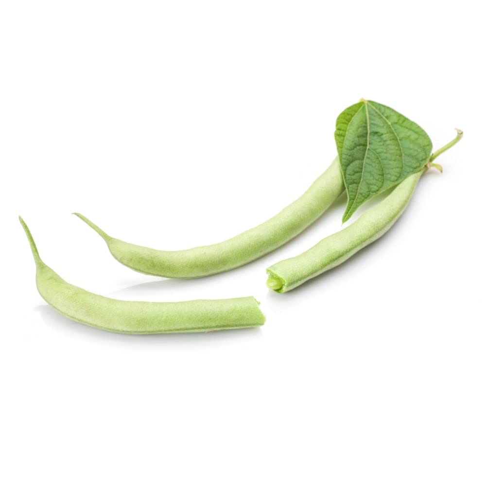 Fainasiya - 50 French Green Bean Seeds | Blue Lake Stringless Pole Bean (Phaseolus Vulgaris) for Home Gardening & Fresh Salads | Non-GMO Heirloom Vegetable Seeds for Planting in Backyard or Containers