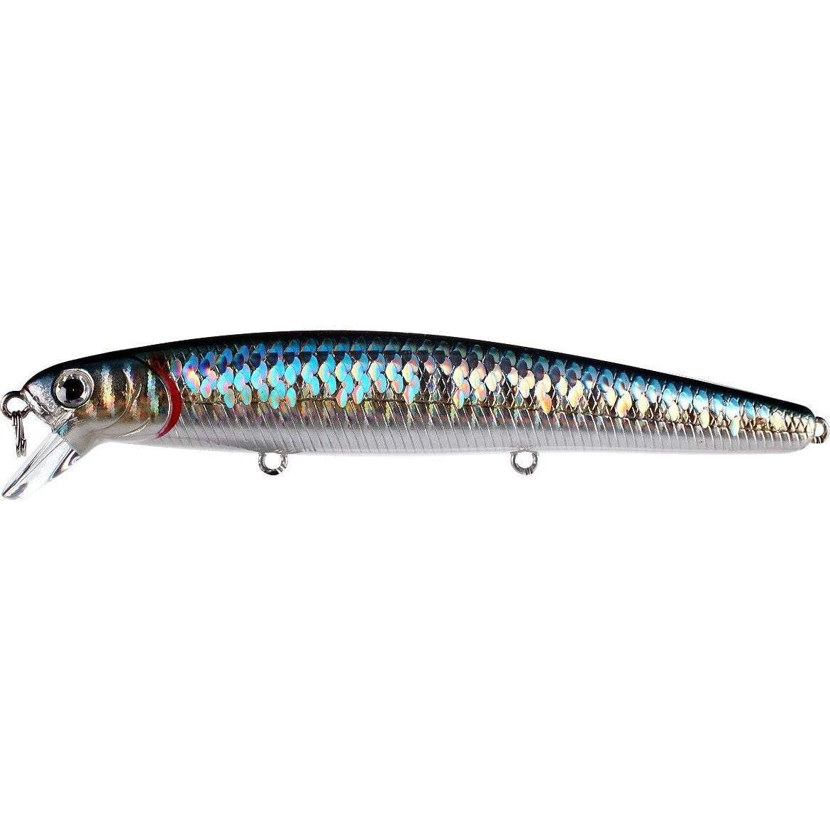 Candy Sardine