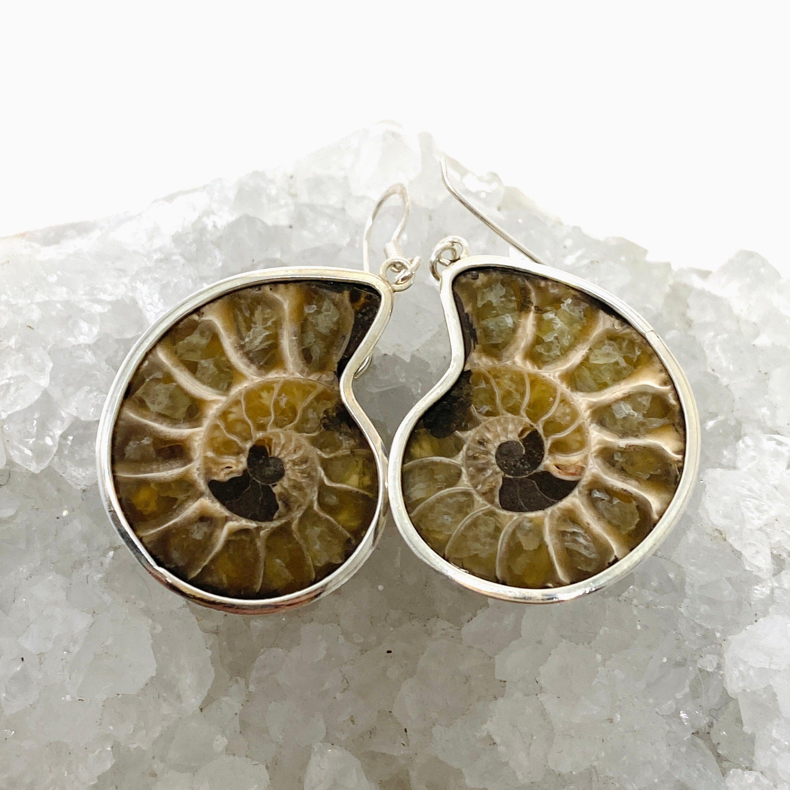 Natural Ammonite Fossil Shell Earrings E2620 MED - Elegant Dangle Jewelry for Women, Perfect for Parties, Weddings & Everyday Wear