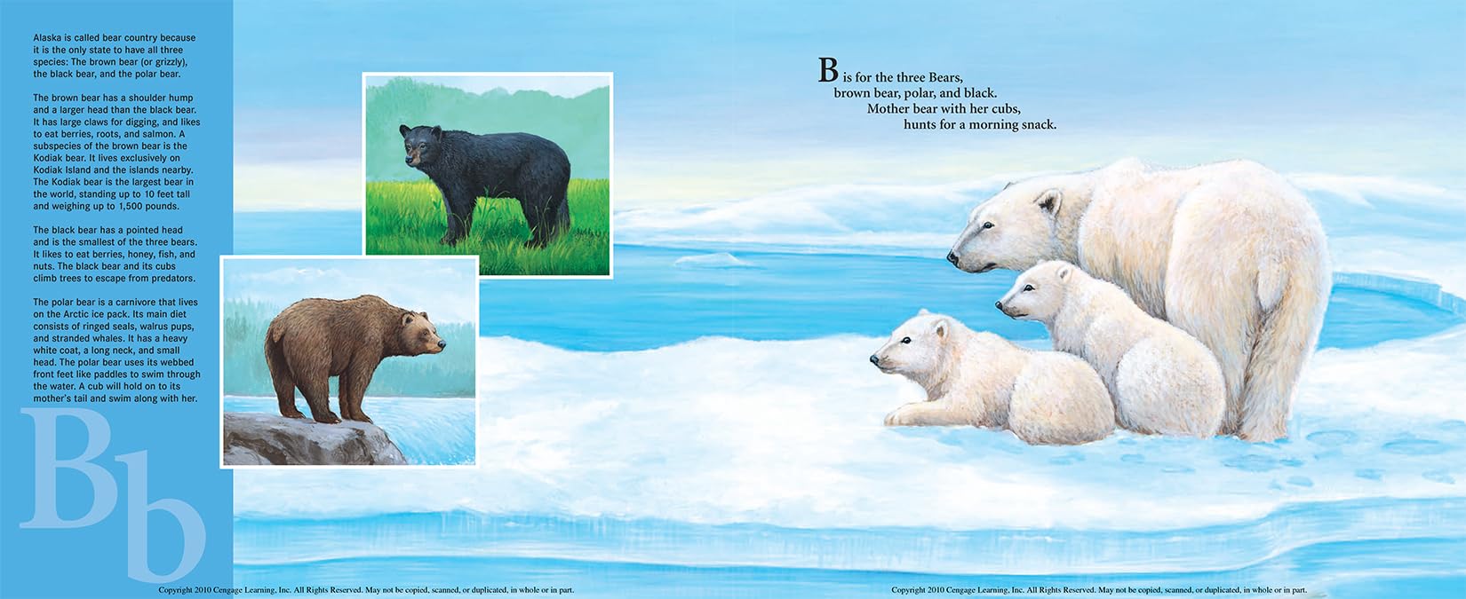 L Is for Last Frontier: An Alaska Alphabet Book - Discover America State by State | Educational Kids Book About Alaska Geography & Wildlife | Perfect for Homeschooling & Classroom Learning