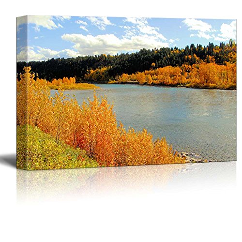 Fall Foliage