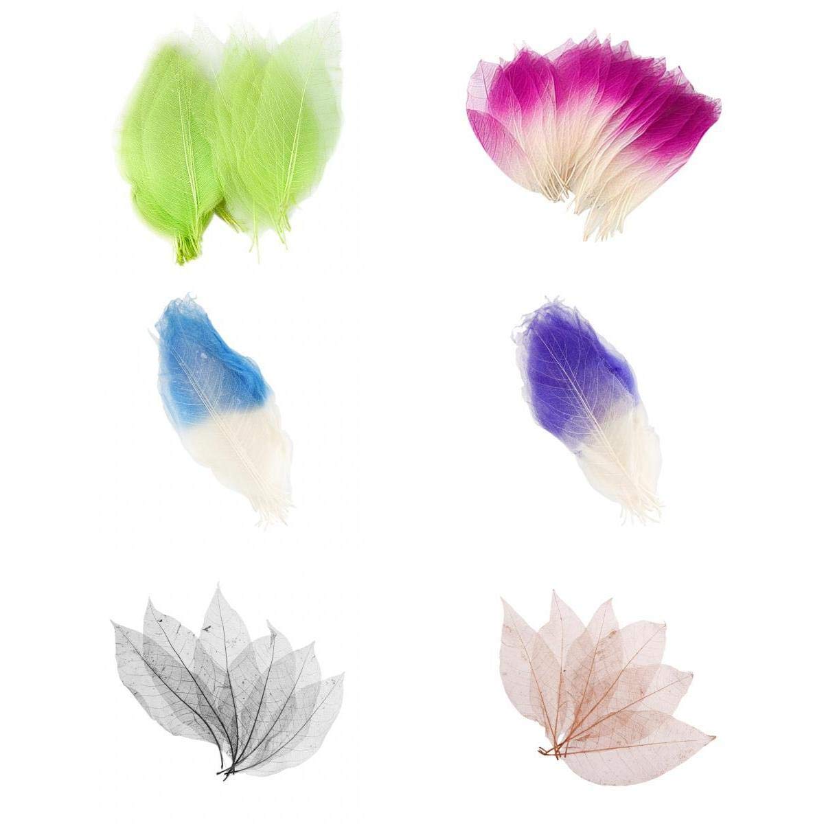 Bonarty 300pcs Skeleton Leaf Cutouts - Natural Dried Leaves for Card Making, Scrapbooking, Wedding Invitations, Fall Decorations - Perfect for DIY Crafts, Home Decor, and Seasonal Party Supplies