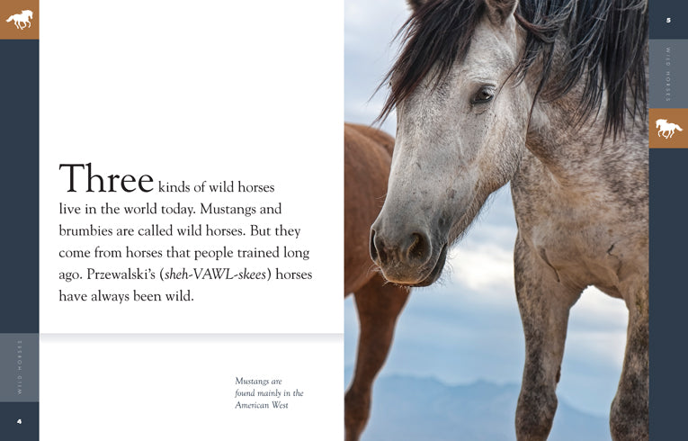 Amazing Animals (2014): Wild Horses Documentary - Nature Wildlife Film for Animal Lovers, Educational & Family Viewing | Perfect for Classroom Learning, Nature Enthusiasts & Relaxing Evenings