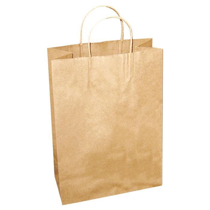 Eco-Friendly Kraft Paper Bags | 2-Pack Brown Gift Bags | Perfect for Party Favors, Wedding Decor & Retail Packaging