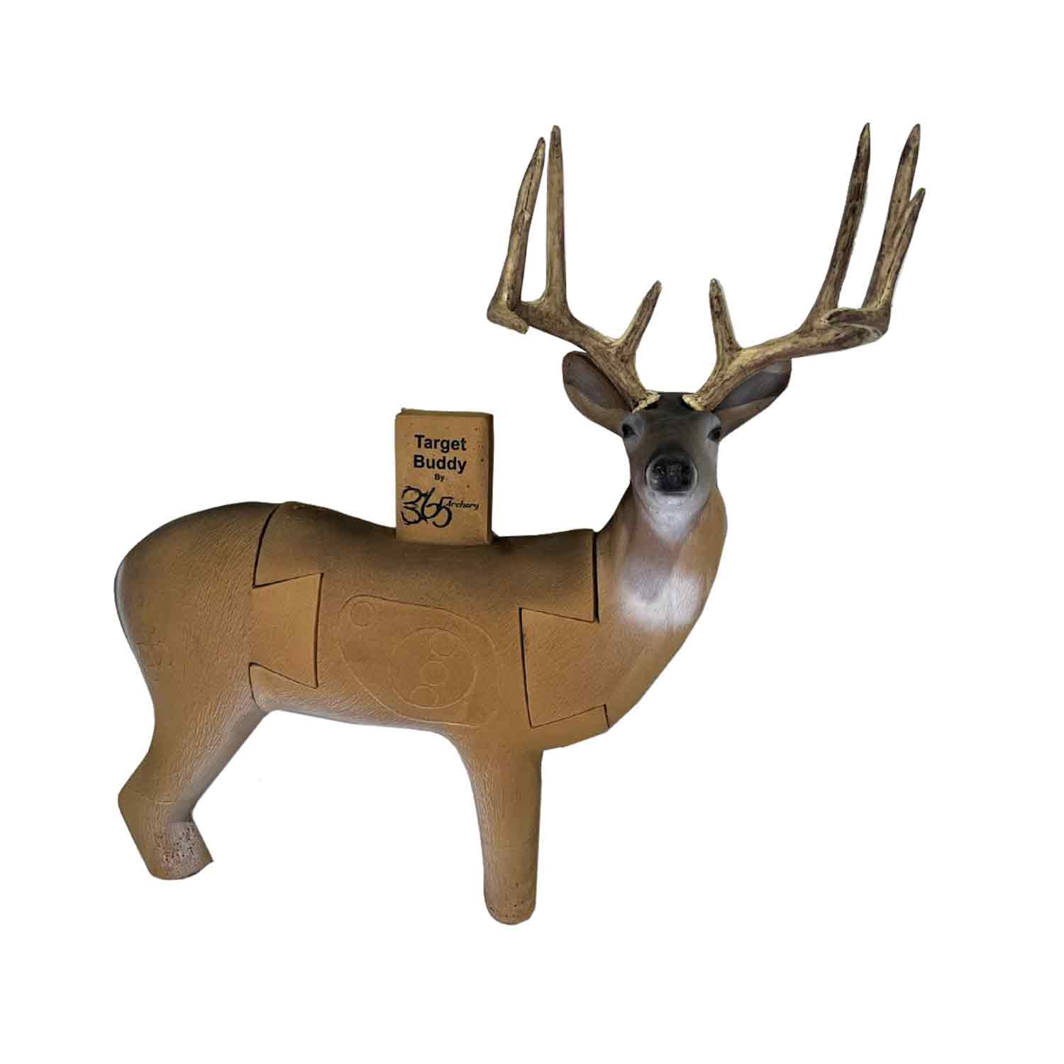 365 Archery Target Buddy 3D Whitetail Deer Hunting Target - Durable Foam Archery Practice Target for Outdoor & Indoor Shooting Range Training