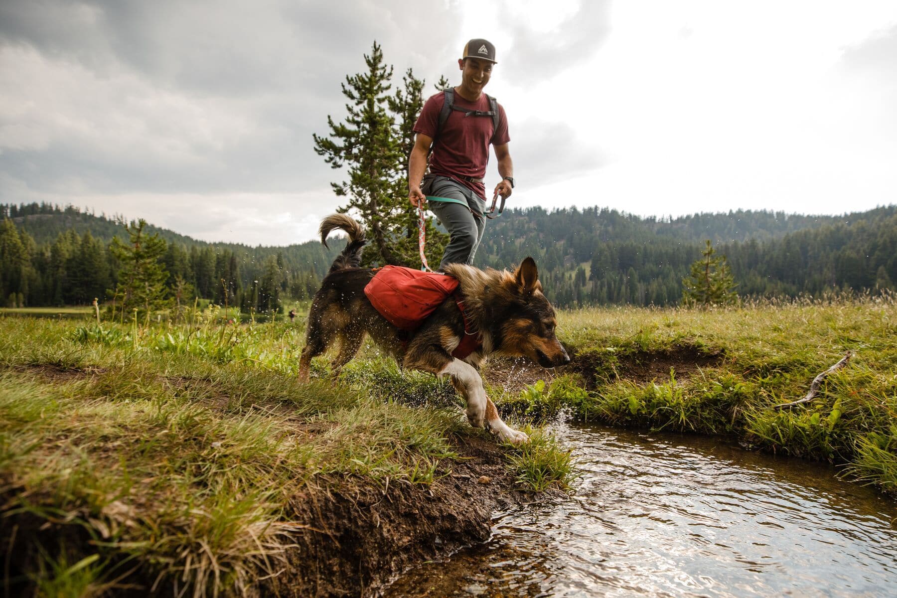 Ruffwear Front Range Dog Backpack - Lightweight & Adjustable Day Pack for Hiking & Outdoor Adventures - Lunar Blue (Mochila/Alforja para Perros) - Perfect for Camping, Trail Walks & Pet Travel Accessories