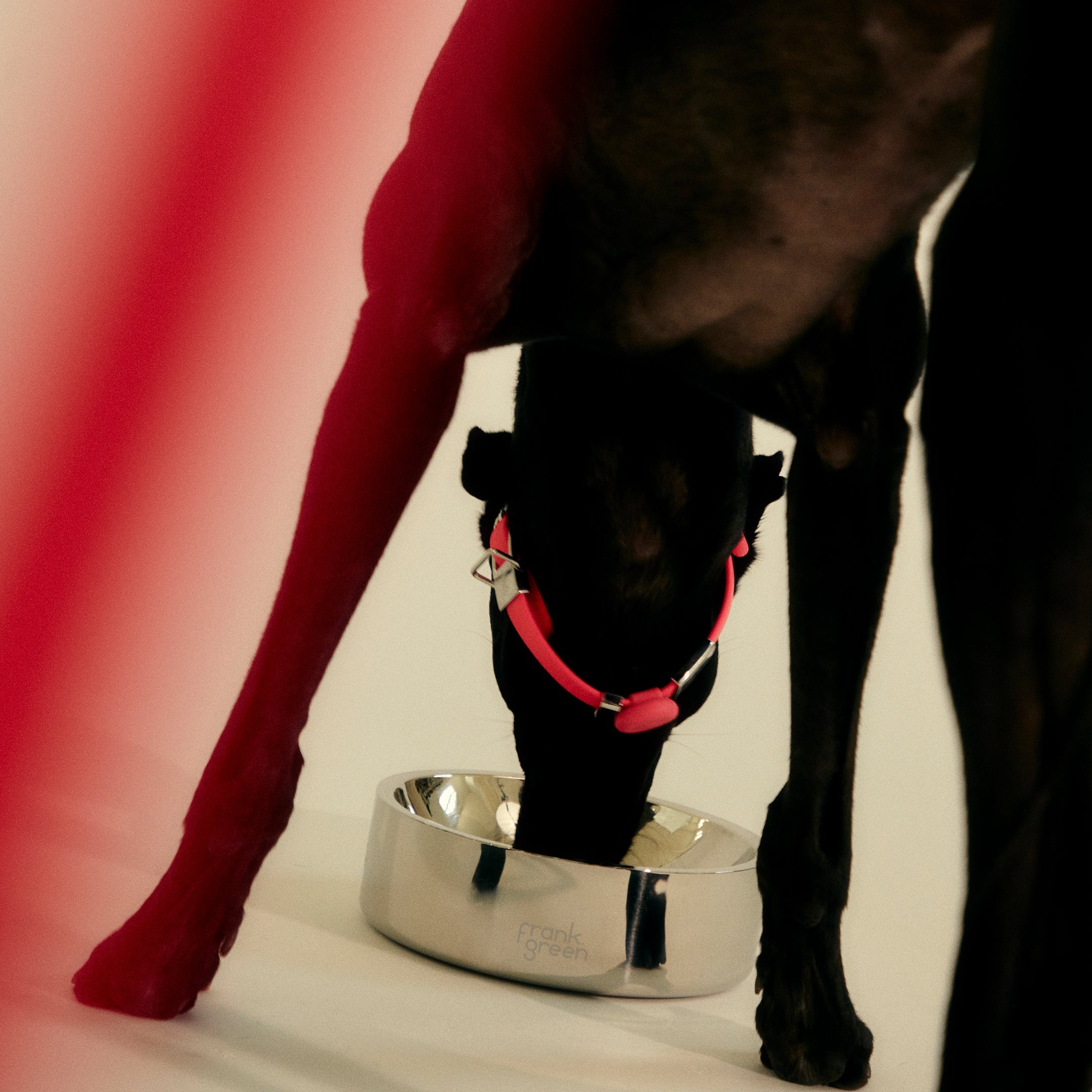 Premium Stainless Steel Dog Bowl - Extra Large Non-Slip Pet Food & Water Dish for Large Breed Dogs - Ideal for Indoor & Outdoor Use, Travel, and Training