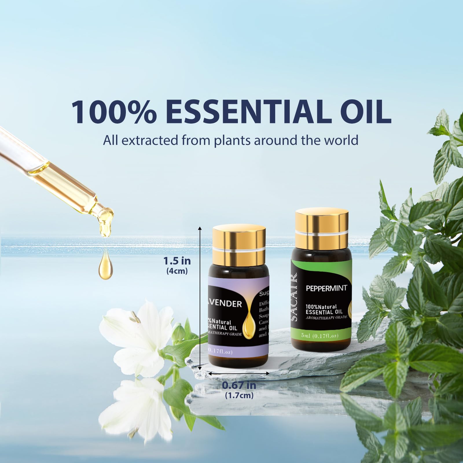 SACATR Natural Essential Oils Set - Top 12 Pure Essential Oils for Aromatherapy, Diffuser, Skin Care & Massage (5ml Each) | Perfect for Relaxation, Spa & Home Fragrance