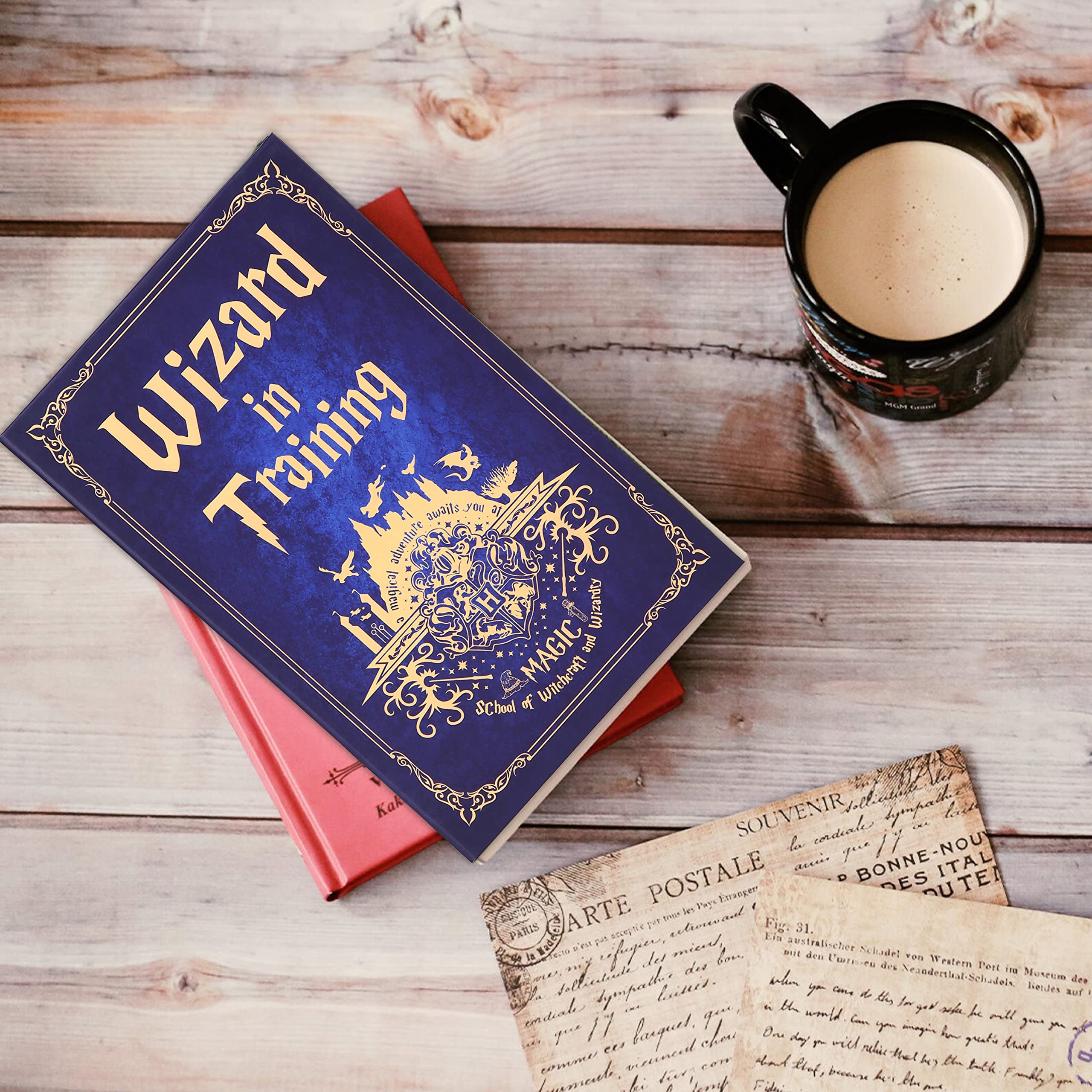Wizard in Training Book Safe with Real Pages - Combination Lock Hidden Storage Box, Portable Metal Secret Safe for Money, Jewelry & Valuables - Perfect for Home, Office & Travel Security