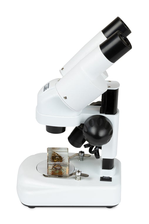 Celestron Labs S20 Angled Stereo Microscope 44137 - 20x Magnification, LED Illumination for Jewelry, Coins & Electronics Inspection | Ideal for Hobbyists, Collectors & Professionals