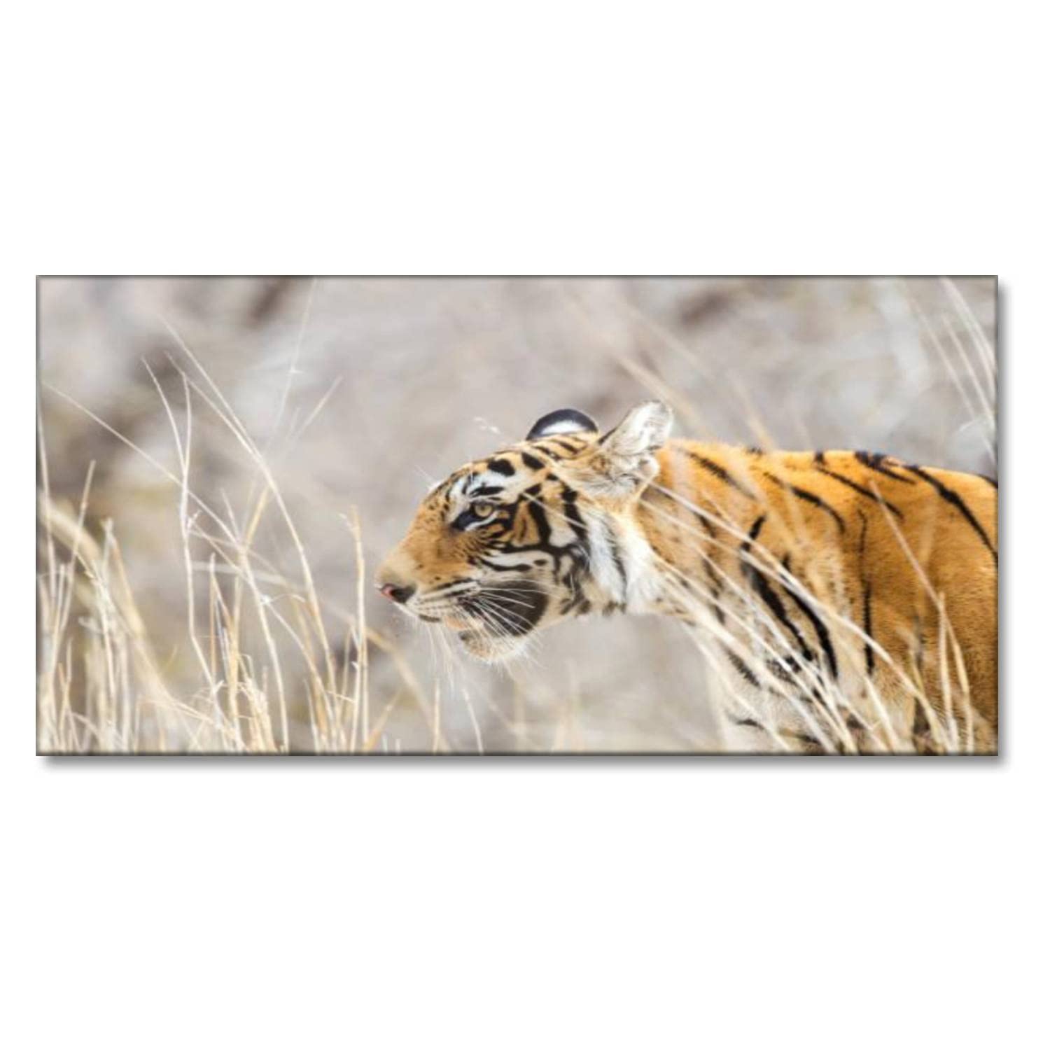 Bengal Tiger at Ranthambore National Park India - Modern Canvas Wall Art Print | Easy to Hang Wildlife Painting for Home, Office, Bedroom & Living Room Decor | Perfect for Nature Lovers & Jungle Theme Interior Design