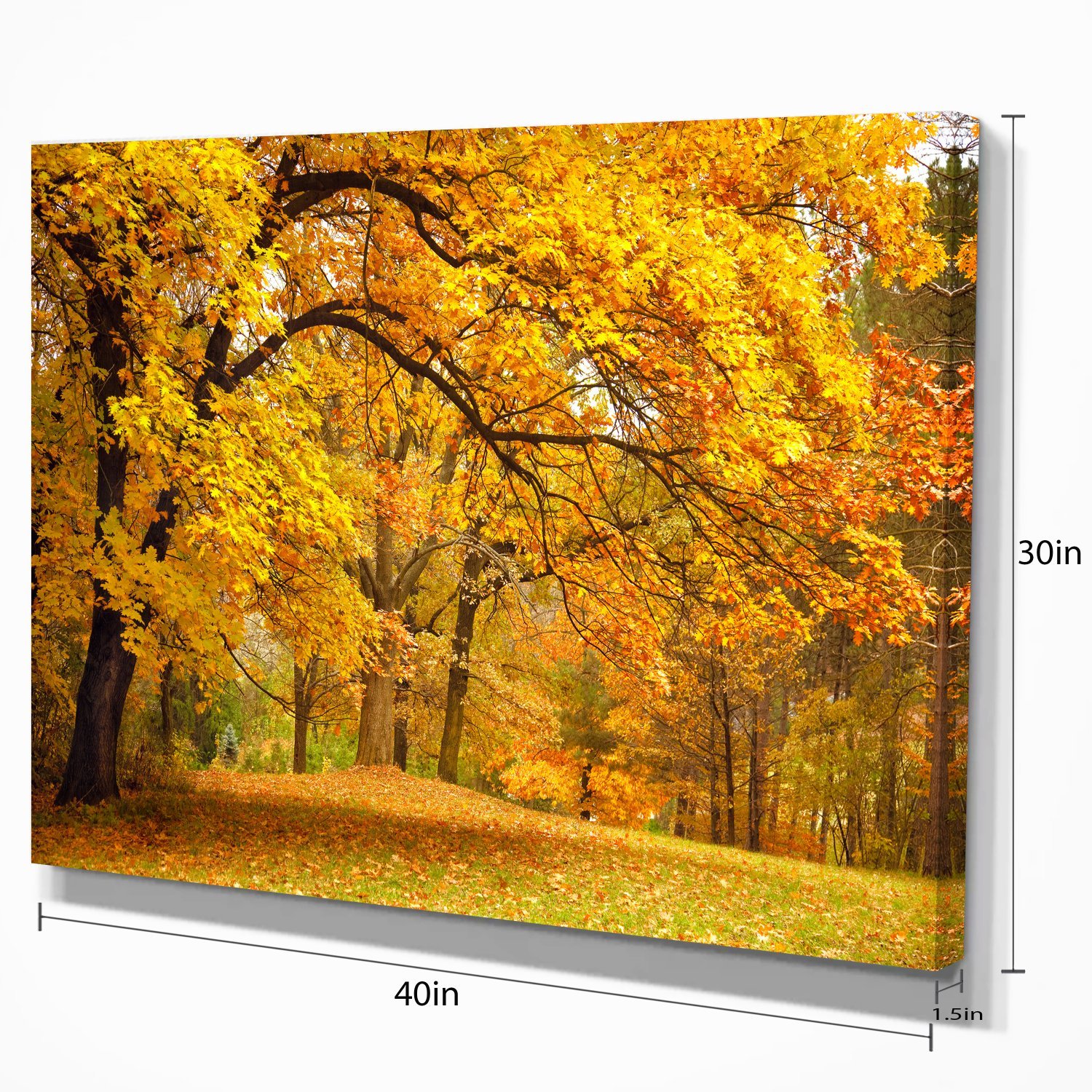 Golden Autumn Forest Landscape Photography Canvas Print - Stunning Nature Wall Art for Living Room, Bedroom & Office Decor