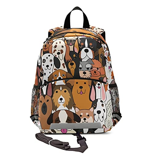 Cute Pet Dogs