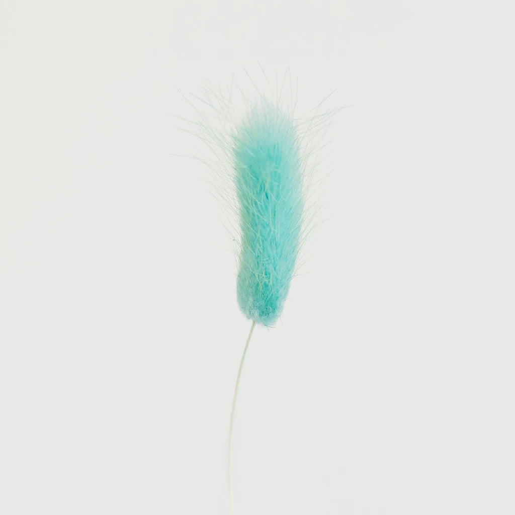Premium Baby Blue Dried Bunny Tail Grass - Natural Decorative Floral Stems for Boho Wedding Centerpieces, Home Decor & DIY Crafts