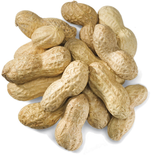 Duncraft Whole Peanuts in Shell for Wild Birds - 25 lb Bulk Bag - High Protein Bird Food for Woodpeckers, Blue Jays & Backyard Birds - Perfect for Bird Feeders & Wildlife Feeding Stations