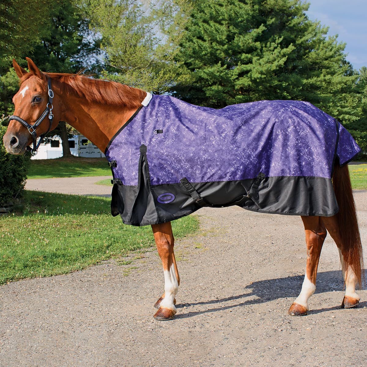 Country Pride Glacier Heavyweight Turnout Blanket for Horses - 66