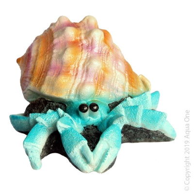 Aqua One Giant Hermit Crab Shell - 12 x 13 x 7.5cm Large Natural Home for Hermit Crabs - Perfect for Pet Crab Habitat & Terrarium Decor