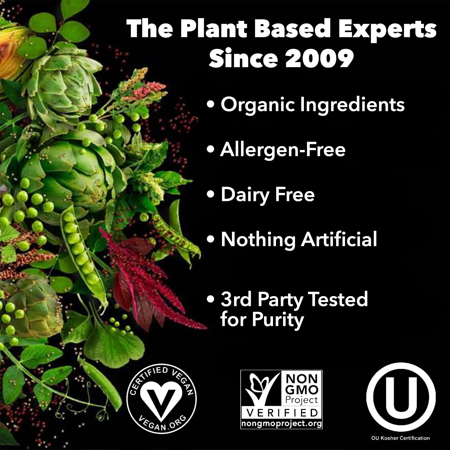 PlantFusion Complete Vegan Protein Powder - Plant-Based Protein with BCAAs, Digestive Enzymes & Pea Protein - Keto, Gluten-Free, Soy-Free, Dairy-Free, Sugar-Free, Non-GMO - Chocolate Flavor 2lb for Post-Workout Recovery & Meal Replacement