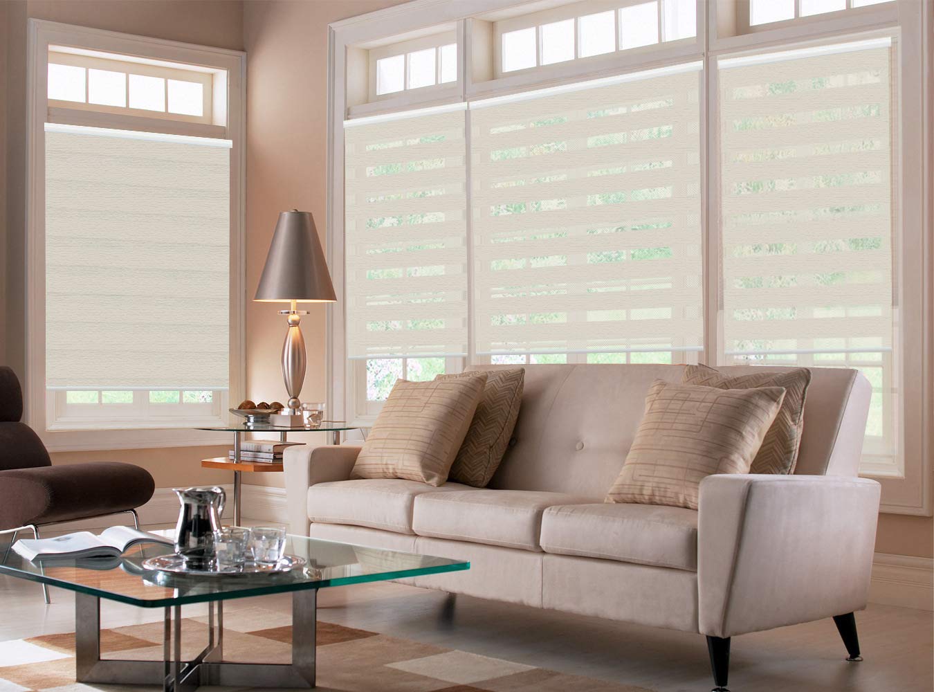 Premium Zebra Window Blinds 63
