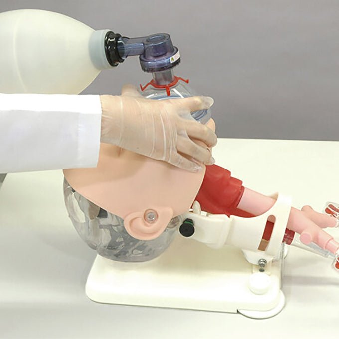 Difficult Airway Management Training Model - High-Fidelity Medical Simulation Manikin for Anesthesia & Emergency Practice - Perfect for Medical Students, Residents, and Healthcare Professionals