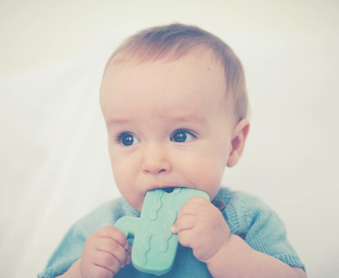 Lanco Toys 90533 Teething Cactus Ring - Soothing Relief for Baby's Sore Gums | BPA-Free Silicone Teether for Infants 3+ Months | Perfect for On-the-Go, Playtime & Travel