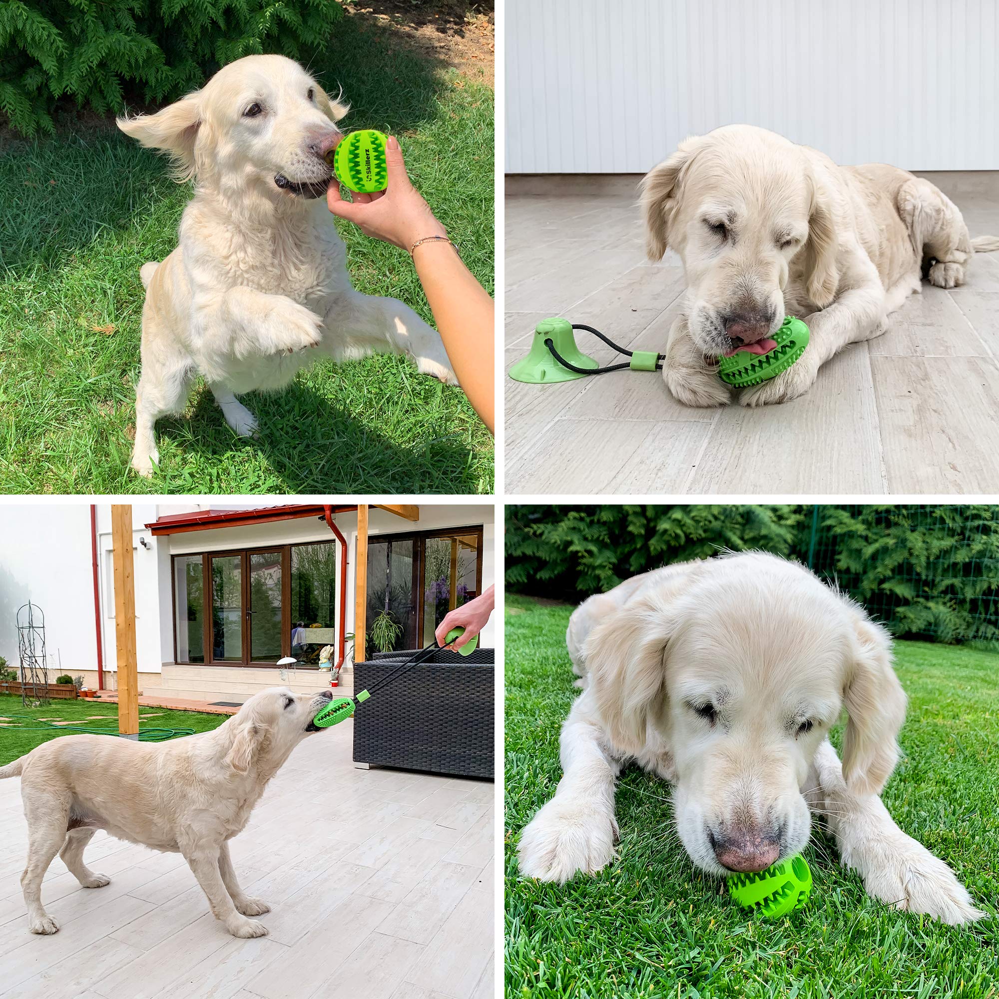 Durable Suction Cup Dog Chew Toy - Interactive Treat Dispenser Ball for Teeth Cleaning & Play - Indoor Pet Entertainment for Boredom Relief & Training