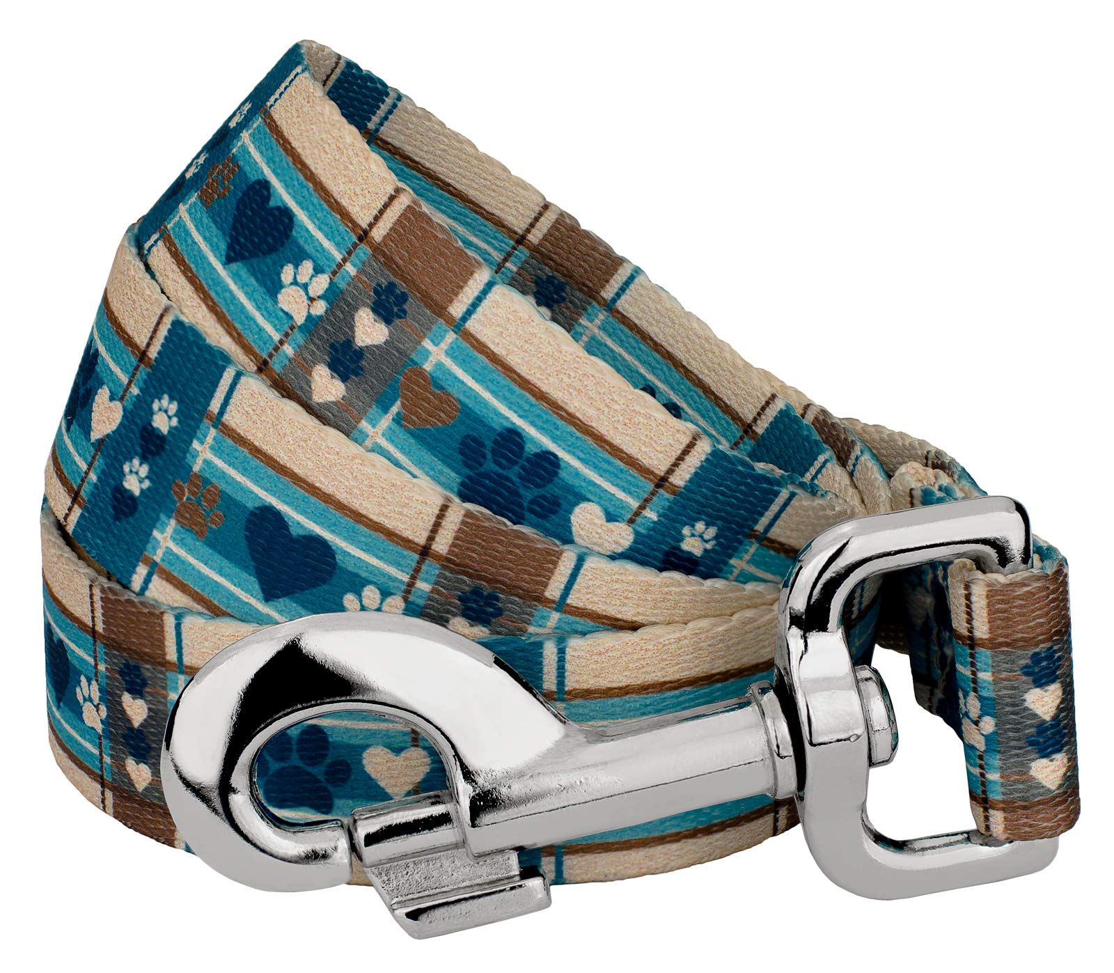 Country Brook Petz - 1 Inch Wide 4 Foot Puppy Picnic Dog Leash for Small Dogs - Perfect for Outdoor Walks, Park Visits, and Picnic Adventures