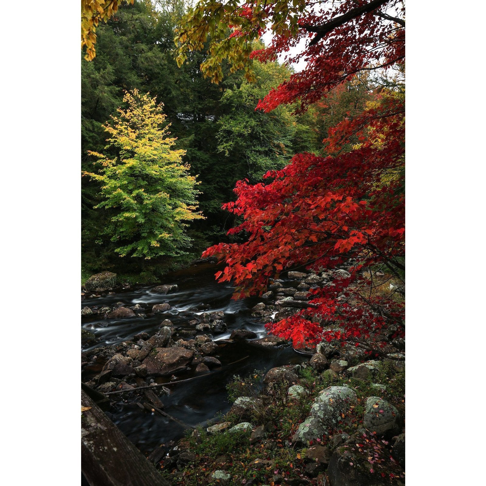 Blue Ridge Wilderness Outdoor Gear - Premium Hiking & Camping Equipment for Adventure Enthusiasts - Perfect for Backpacking, Mountain Climbing & Wilderness Exploration