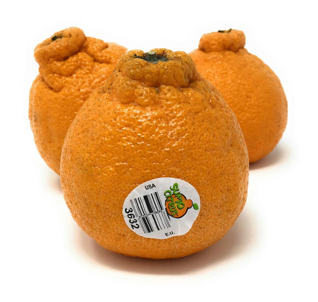Fresh Dekopon Citrus Box - 48oz Premium Japanese Mandarin Oranges | Perfect for Healthy Snacks, Gift Baskets & Fruit Platters