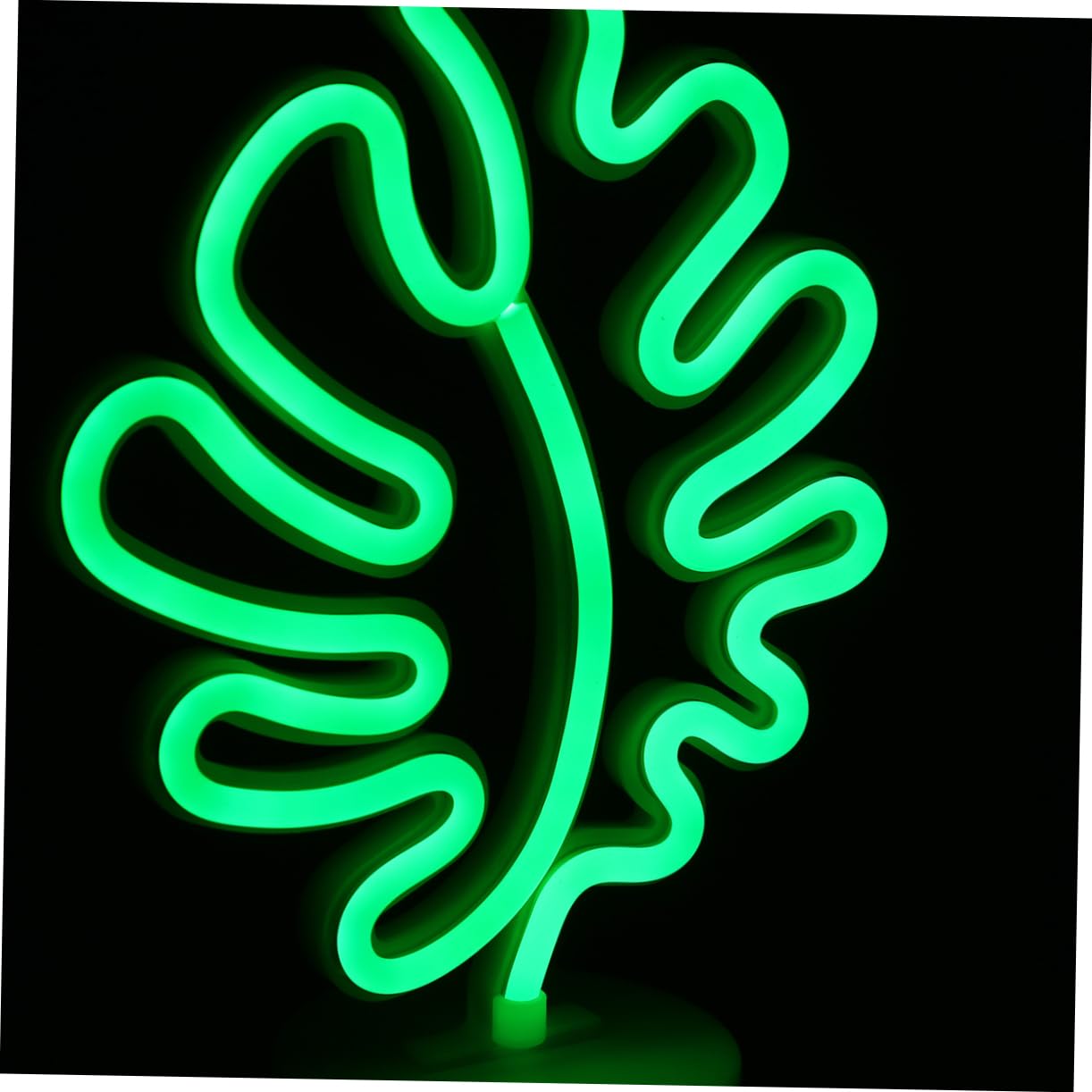 Angoily LED Wall Decor Night Light - USB Powered Neon Strip Lamp for Bedroom, Living Room & Home Decor | Perfect for Parties, Relaxation & Mood Lighting