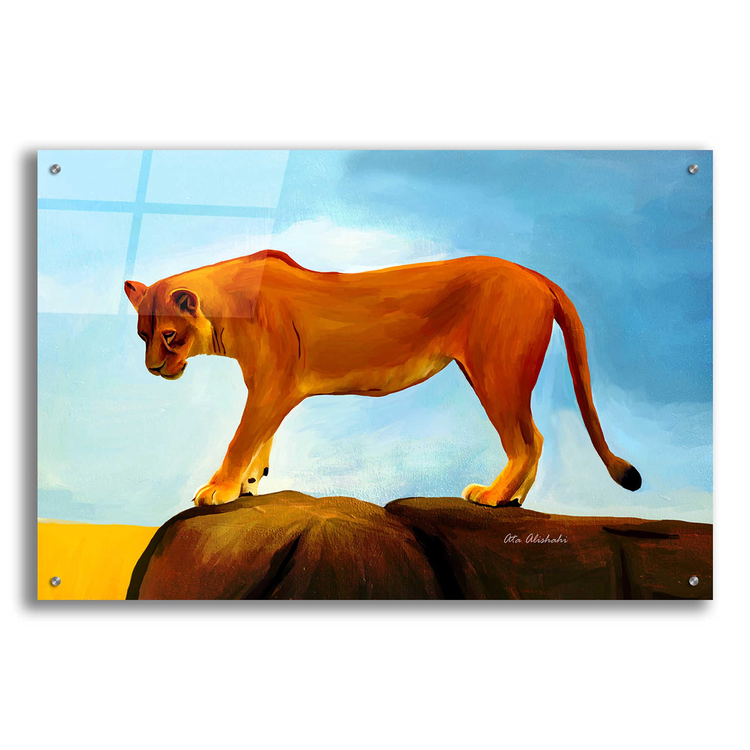 Epic Art 'Lioness On A Rock 1' by Ata Alishahi - 36x24 Inch Acrylic Glass Wall Art Painting - Modern Home Decor for Living Room, Bedroom & Office