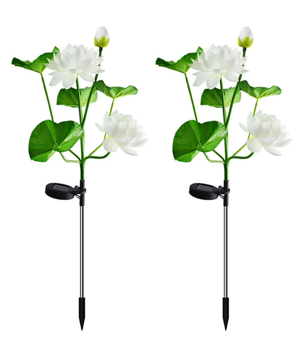 2 Pack Solar Lotus Flower Lights - Waterproof Outdoor Solar Garden Lights for Pathway, Lawn, Patio, Yard - Decorative Solar Stake Landscape Lighting (White) | Perfect for Garden Decor, Walkway Illumination & Backyard Ambience