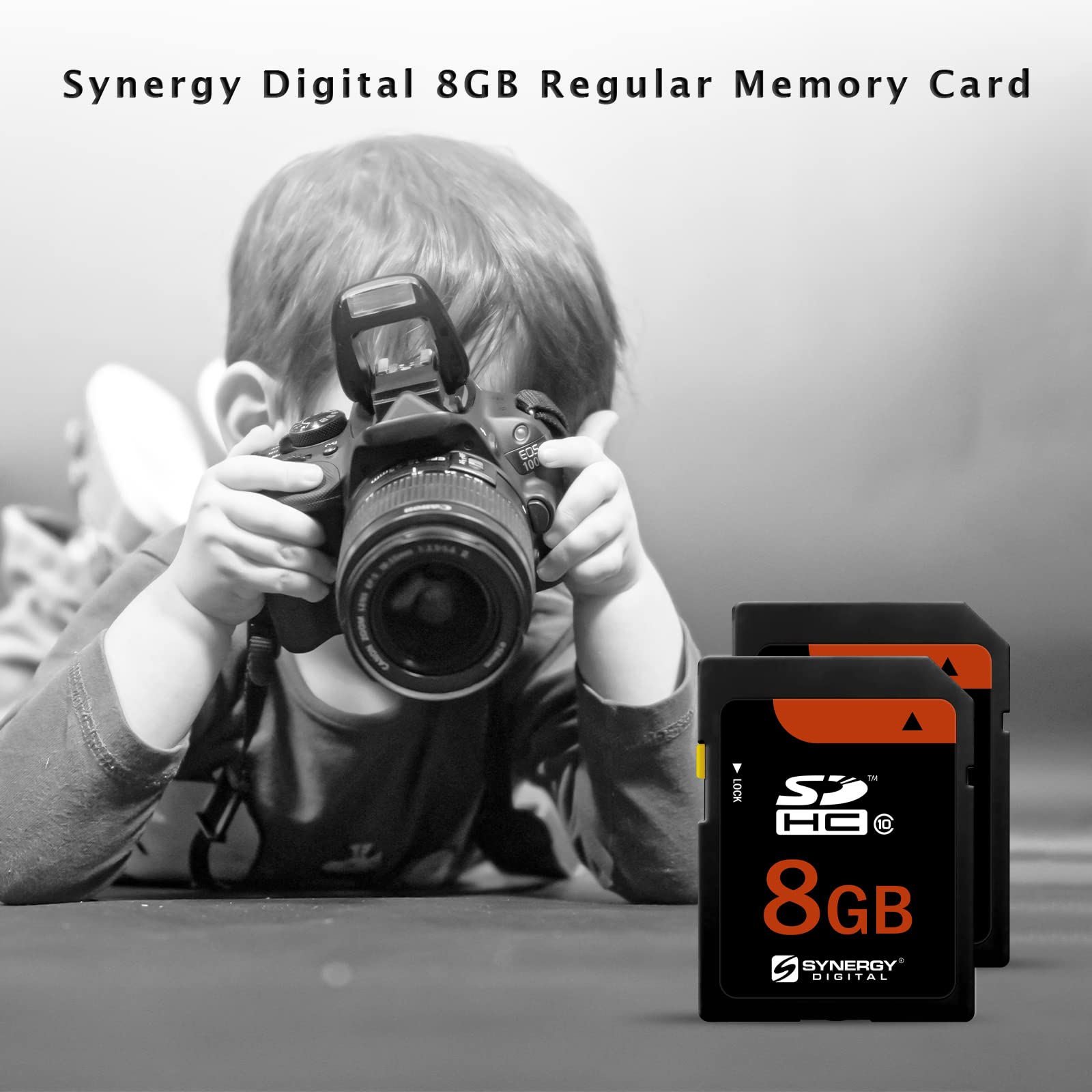 Panasonic Lumix DMC-FH2 8GB SDHC Class 4 Memory Card for Digital Cameras