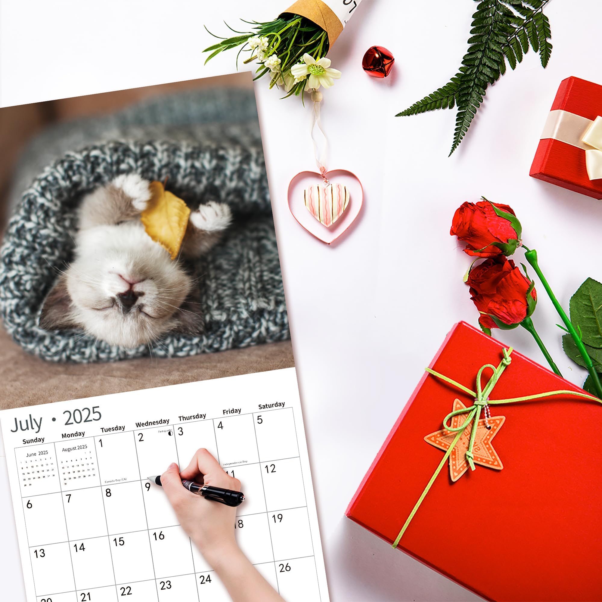 2025 Wall Calendar with Adorable Baby Kittens - January to December 2025 | 12