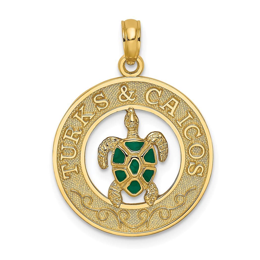 14K Gold Turks and Caicos Round Frame Enamel Turtle Charm Pendant Necklace for Women - Elegant Jewelry Gift for Birthday, Anniversary & Beach Vacation Accessories