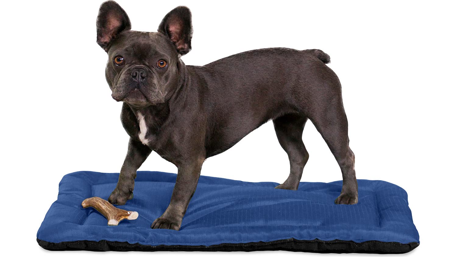 K9 Ballistics Tough Dog Crate Pad - Washable, Durable & Water Resistant Dog Bed for Small Dogs - 29.5
