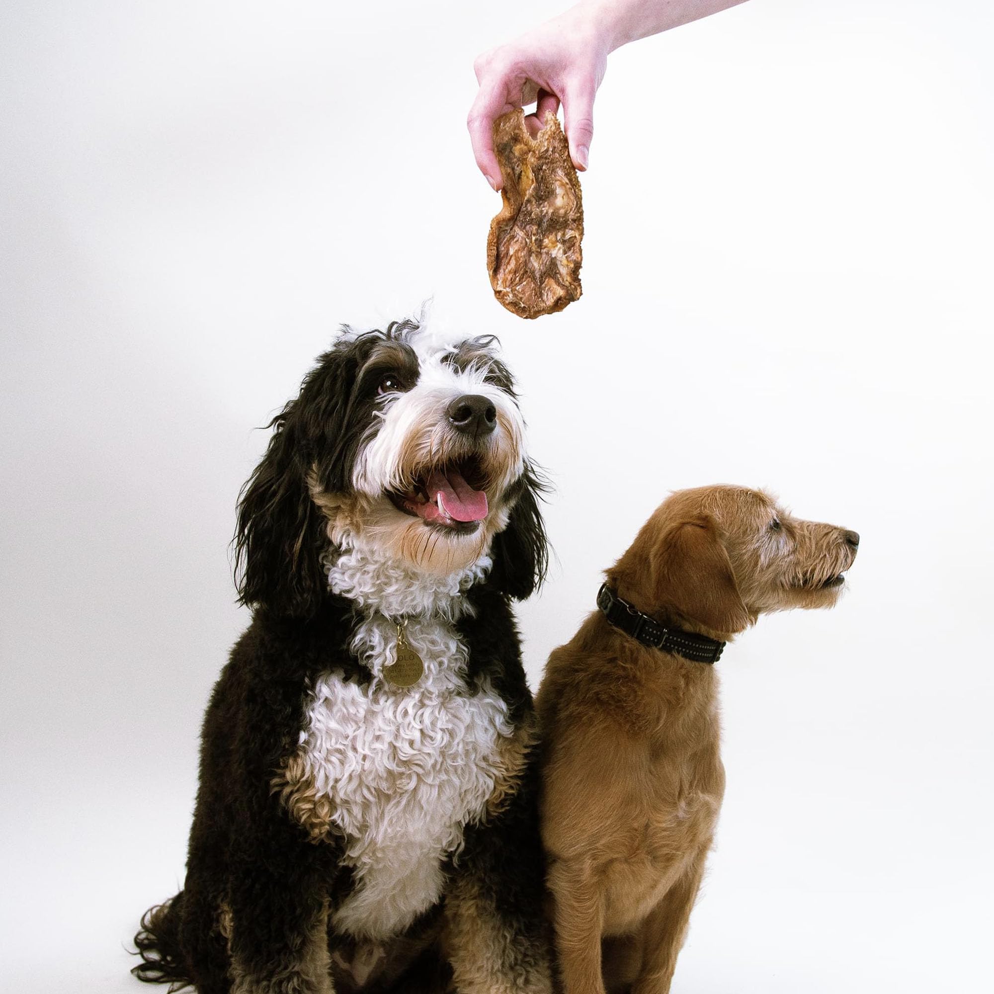 Premium Pupford Lamb Jerky Dog Treats for All Breeds & Ages | 100% Natural USA-Made, Grain-Free, No Fillers | Healthy Training & Reward Snacks for Small & Large Dogs (7oz) – Perfect for Travel, Hiking & Daily Training
